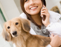 House-calls malta, Vetcare Animal Clinic malta